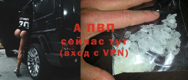 спиды Богородск