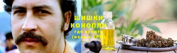 спиды Богородск