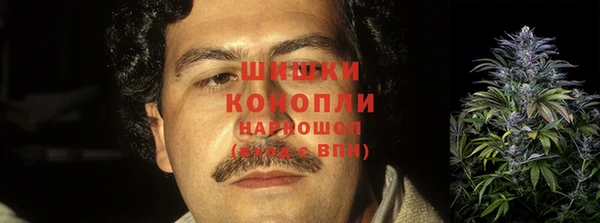 таблы Богданович