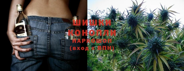 спиды Богородск