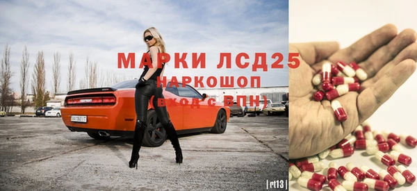 apvp Бородино