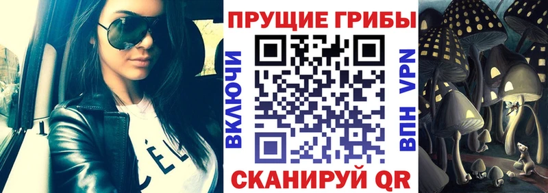 Псилоцибиновые грибы Cubensis  Екатеринбург 